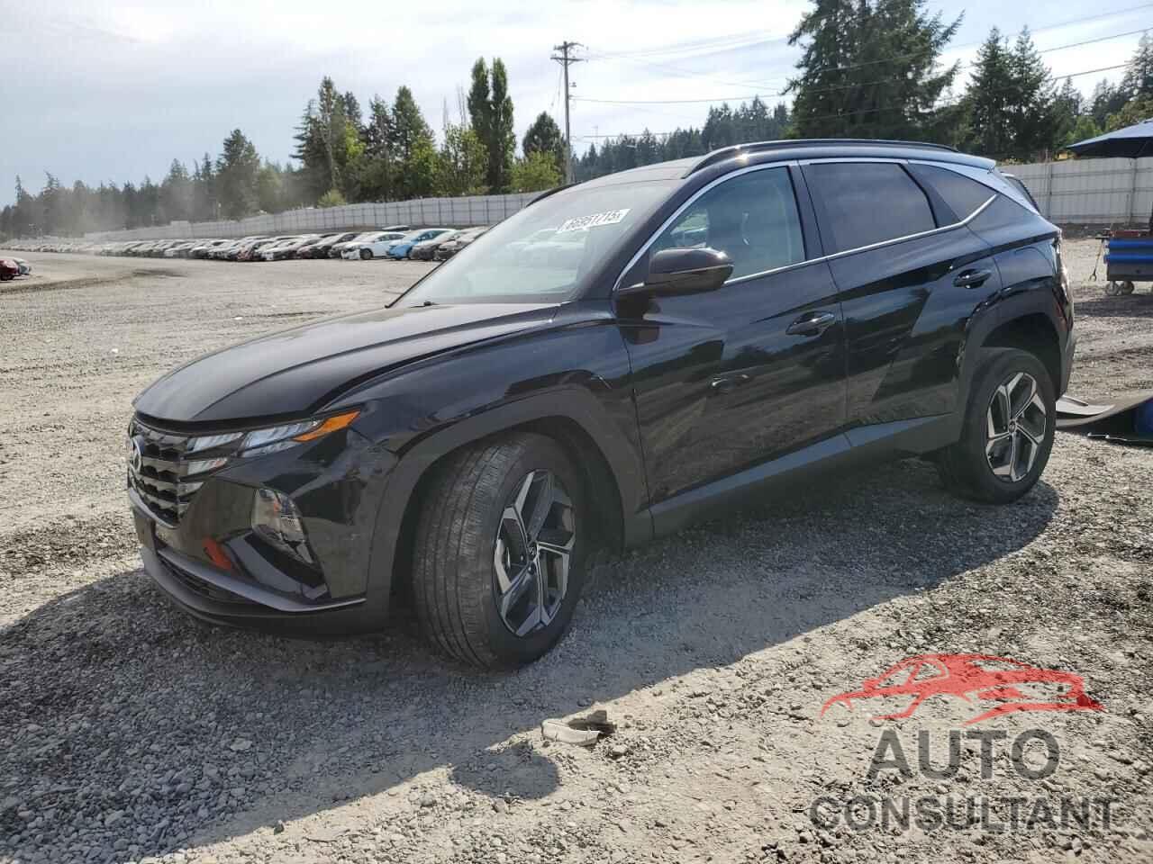 HYUNDAI TUCSON 2024 - KM8JCCD14RU140750