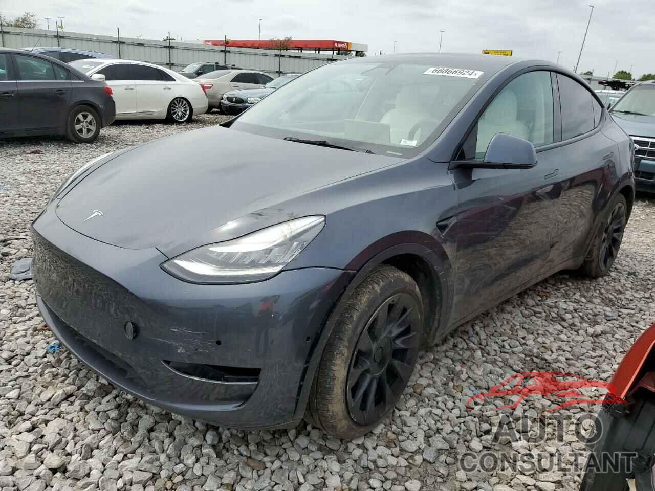 TESLA MODEL Y 2021 - 5YJYGDEE3MF092836