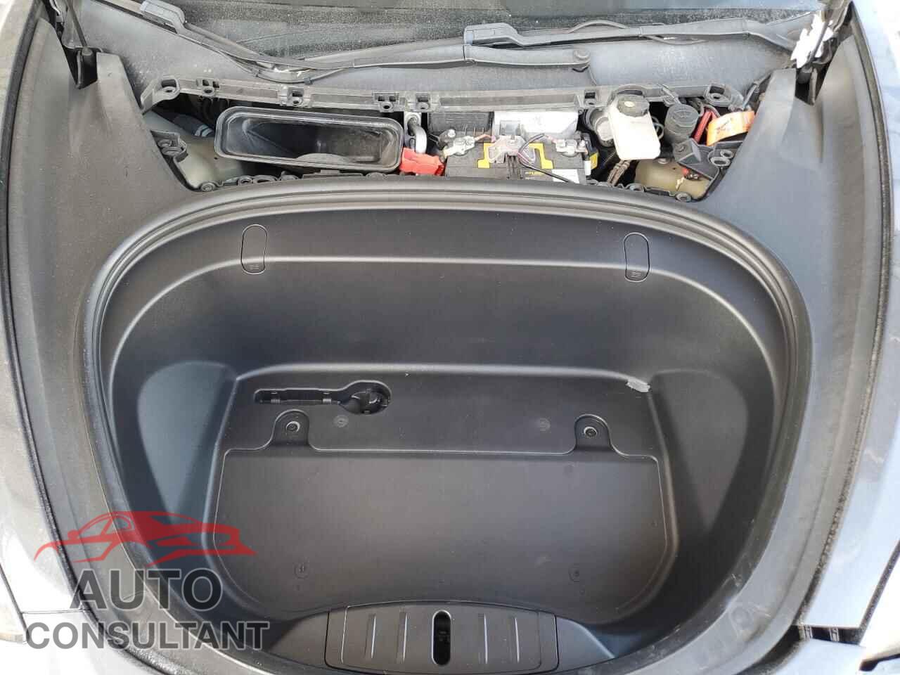 TESLA MODEL 3 2019 - 5YJ3E1EB2KF454821