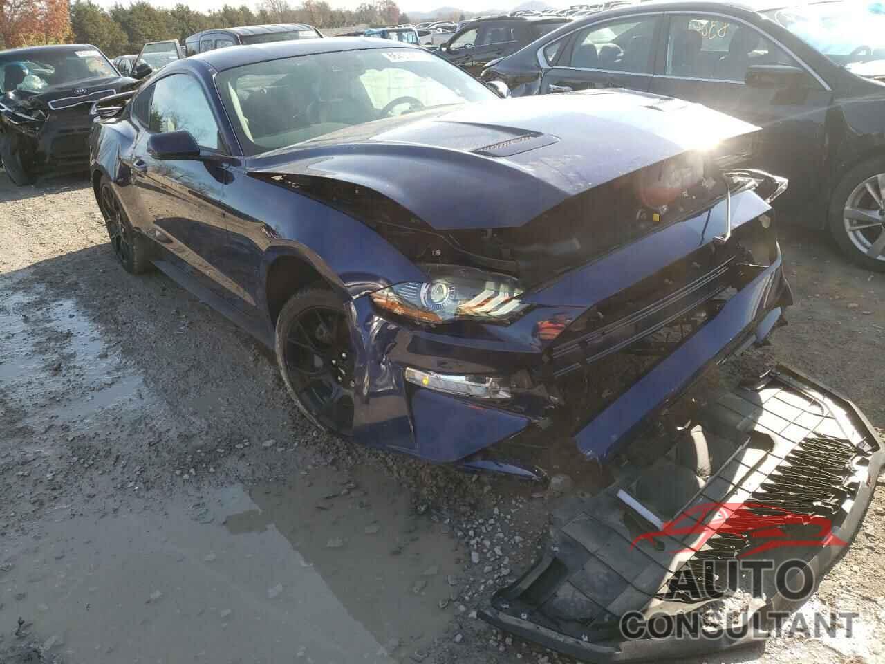 FORD MUSTANG 2019 - 1FA6P8TH4K5156916