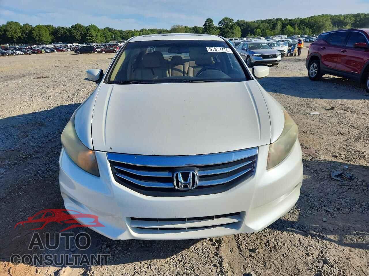 HONDA ACCORD 2011 - 5KBCP3F81BB002000
