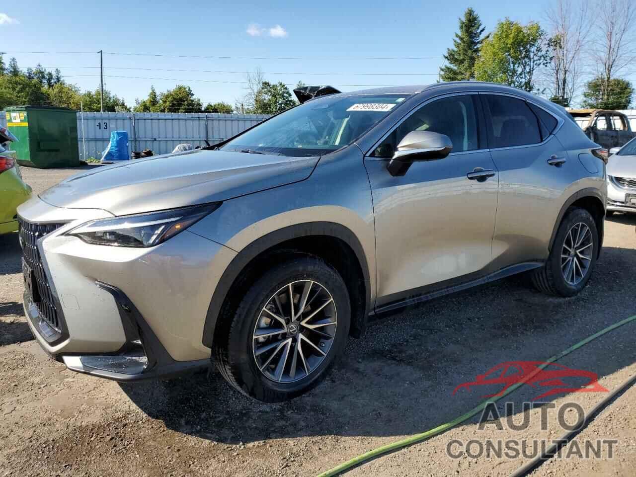 LEXUS NX 250 2023 - 2T2ADCEZ2PC003530