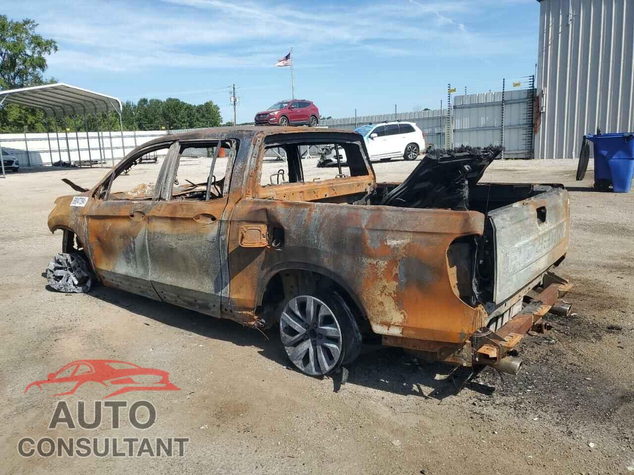 HONDA RIDGELINE 2024 - 5FPYK3F1XRB018963