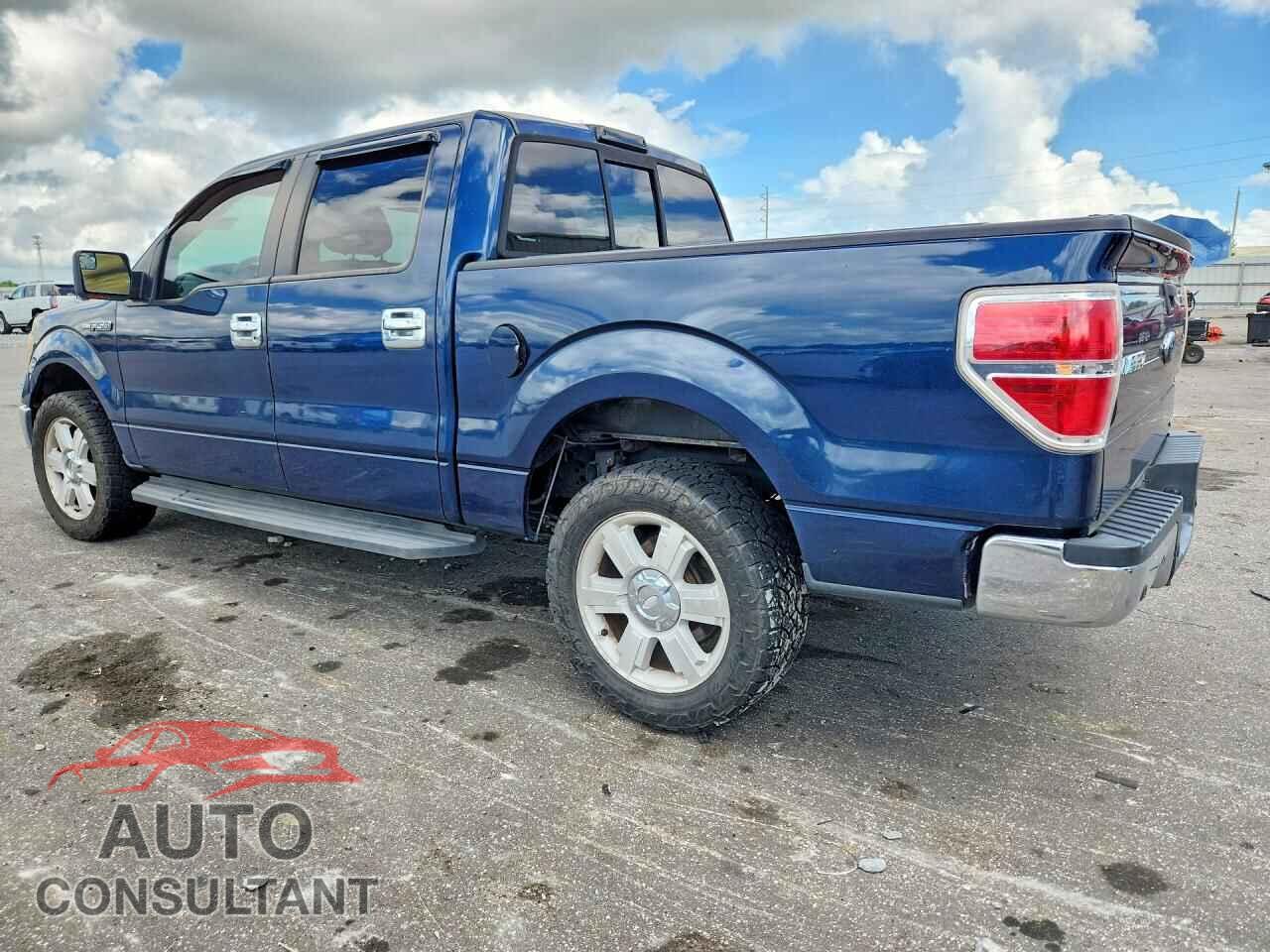 FORD F150 2013 - 1FTEW1CM1DKD84745