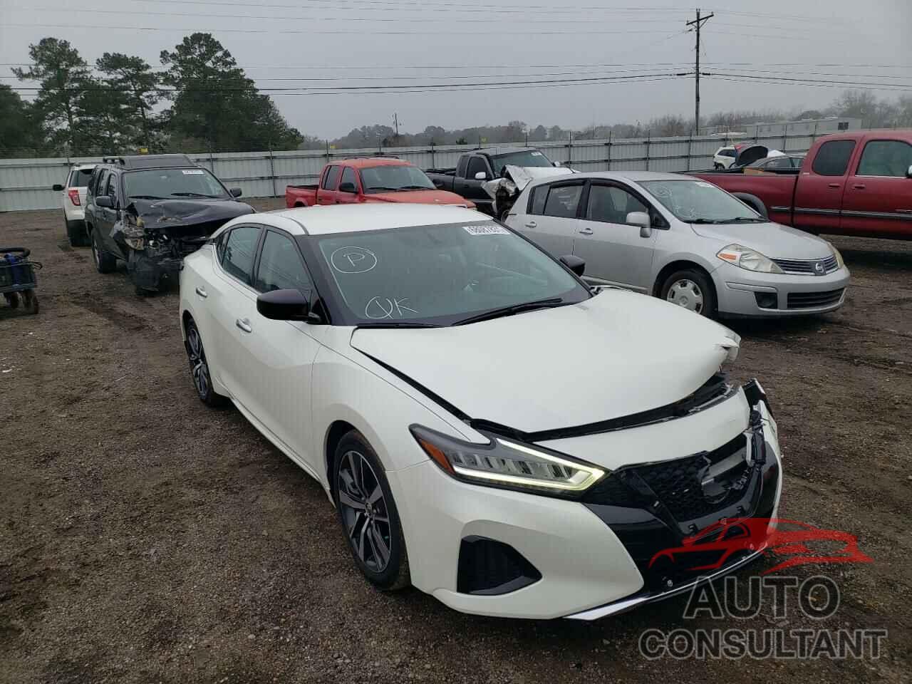 NISSAN MAXIMA 2019 - 1N4AA6AV5KC384623