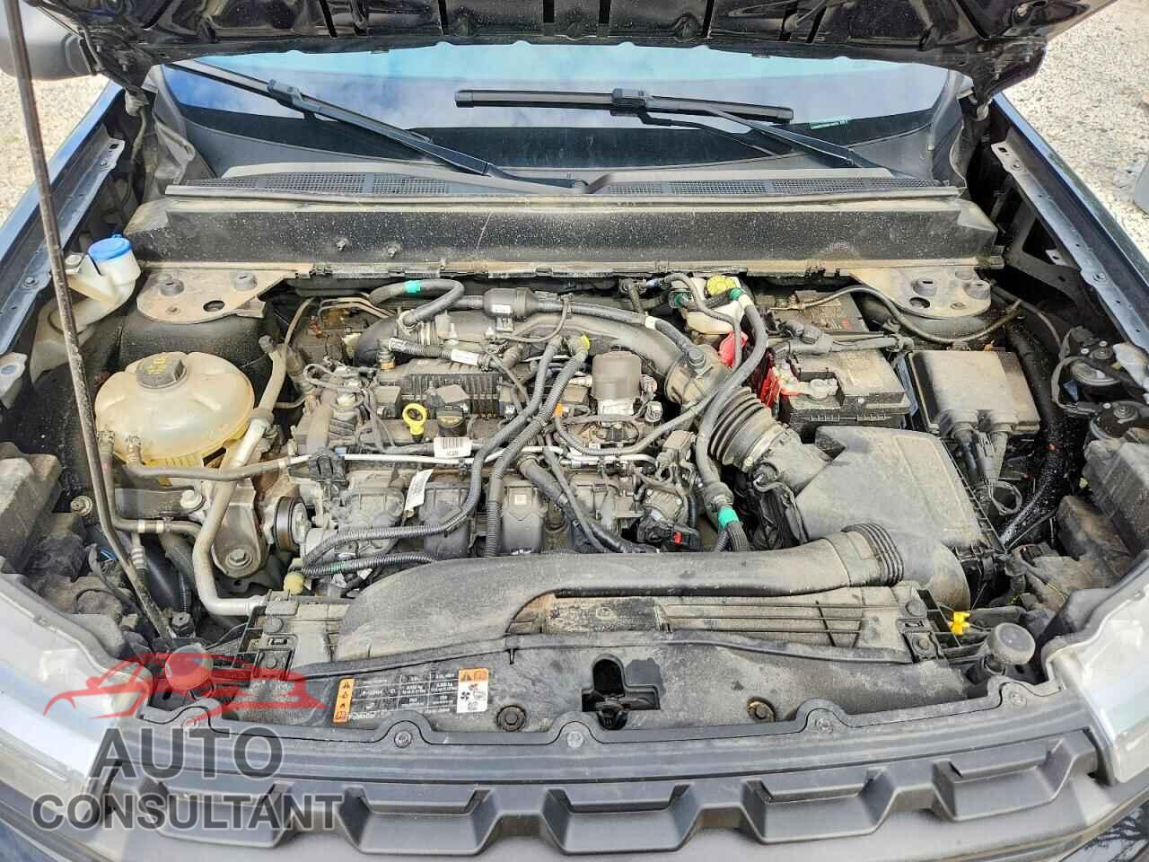 FORD MAVERICK 2024 - 3FTTW8B97RRB76529