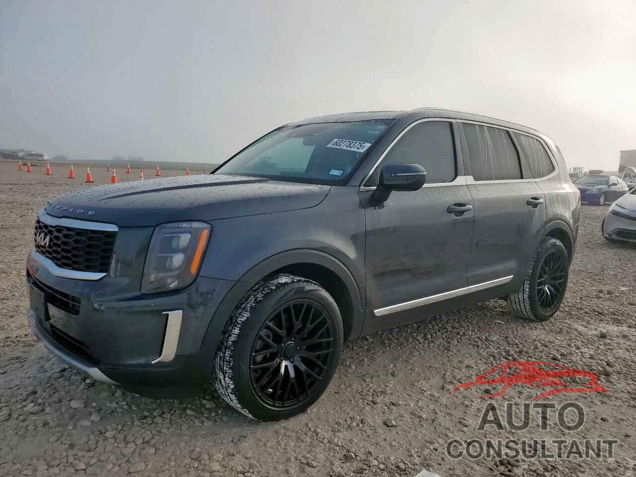 KIA TELLURIDE 2022 - 5XYP34HC5NG207559