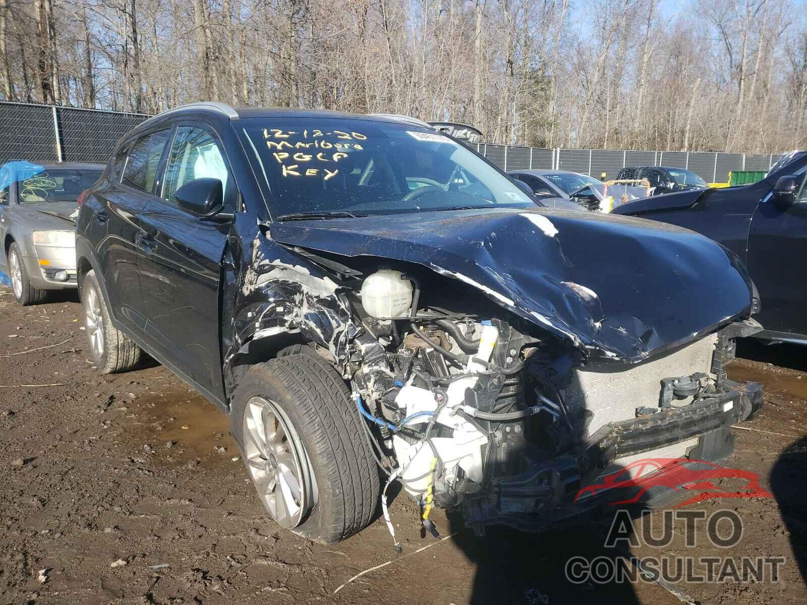 HYUNDAI TUCSON 2017 - KM8J3CA43HU416834