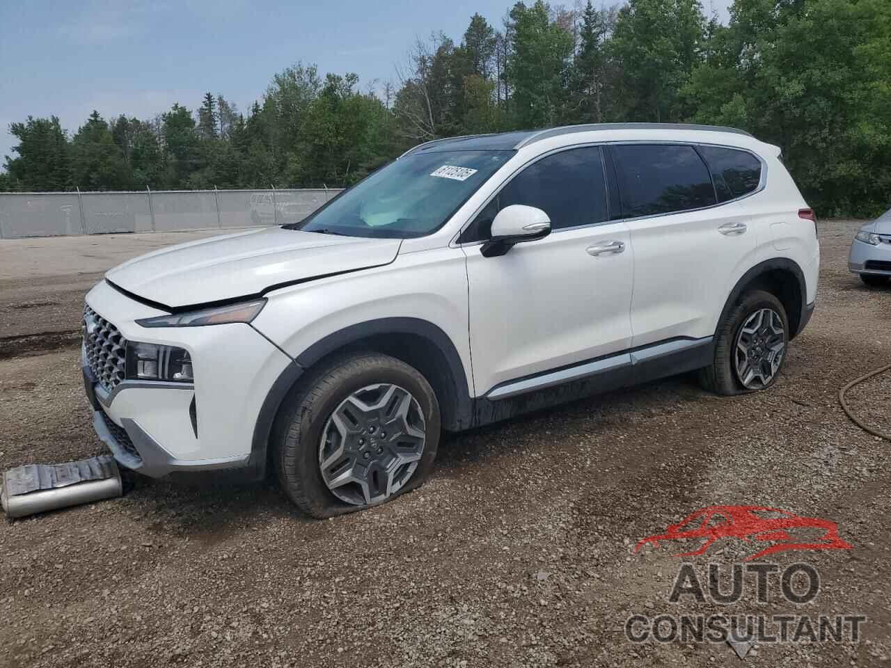 HYUNDAI SANTA FE 2023 - KM8S7DA25PU084228