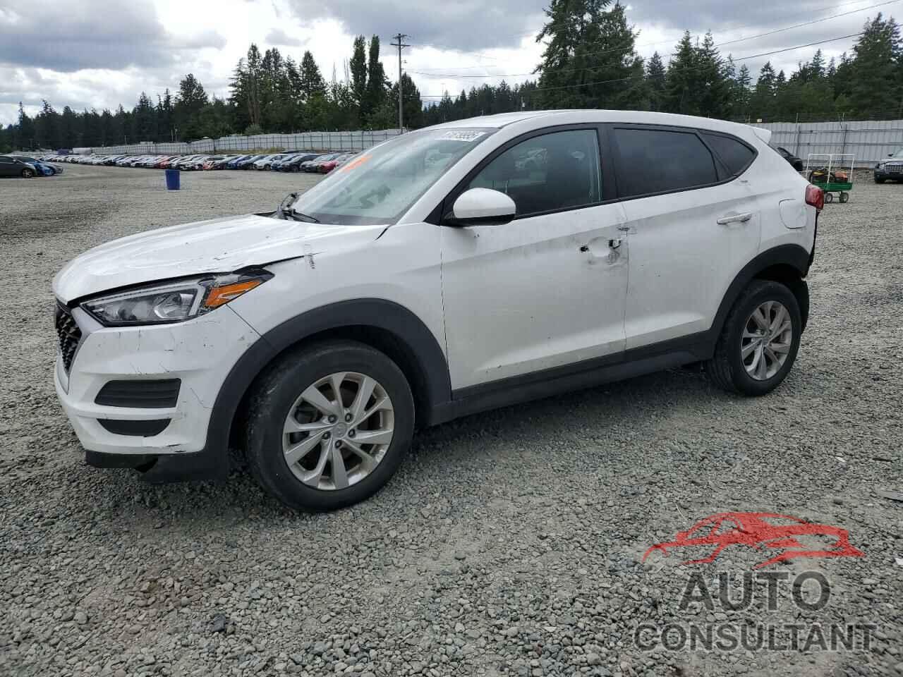 HYUNDAI TUCSON 2019 - KM8J2CA48KU890188
