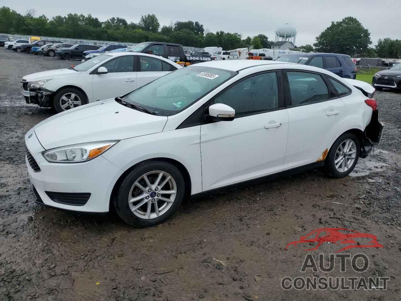 FORD FOCUS 2016 - 1FADP3F22GL260860