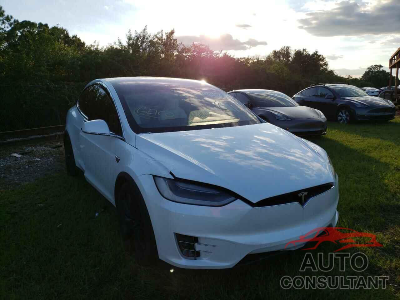 TESLA MODEL X 2019 - 5YJXCAE20KF204033