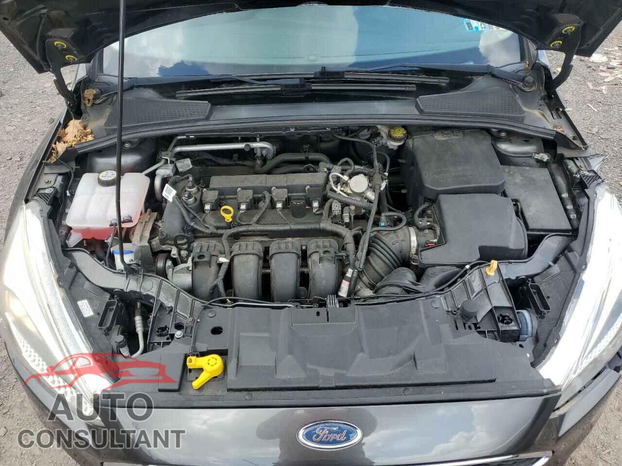 FORD FOCUS 2016 - 1FADP3E26GL354550