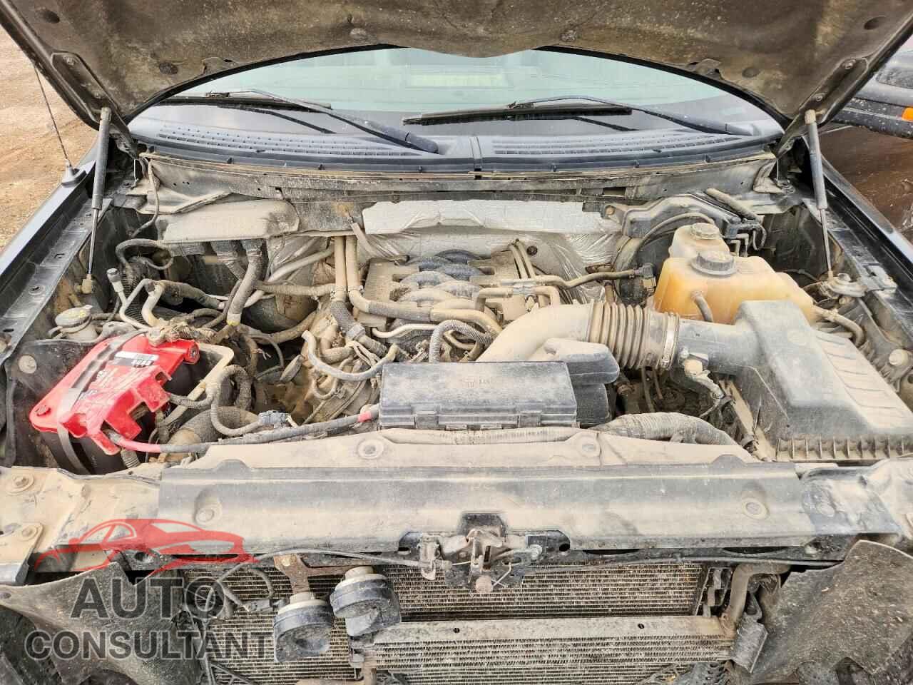 FORD F150 2011 - 1FTFW1EF5BFC24389