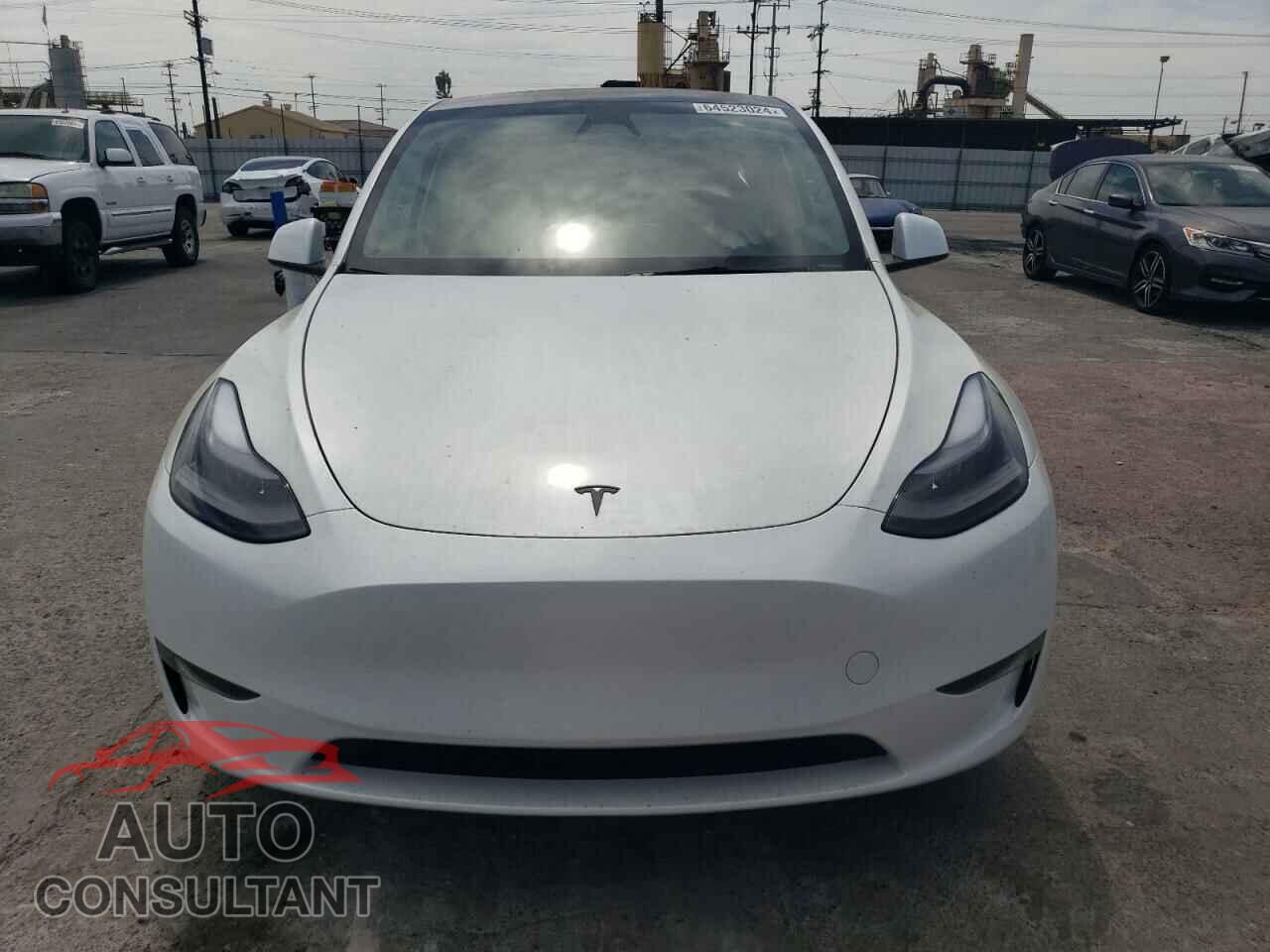 TESLA MODEL Y 2024 - 7SAYGDEE5RF085638