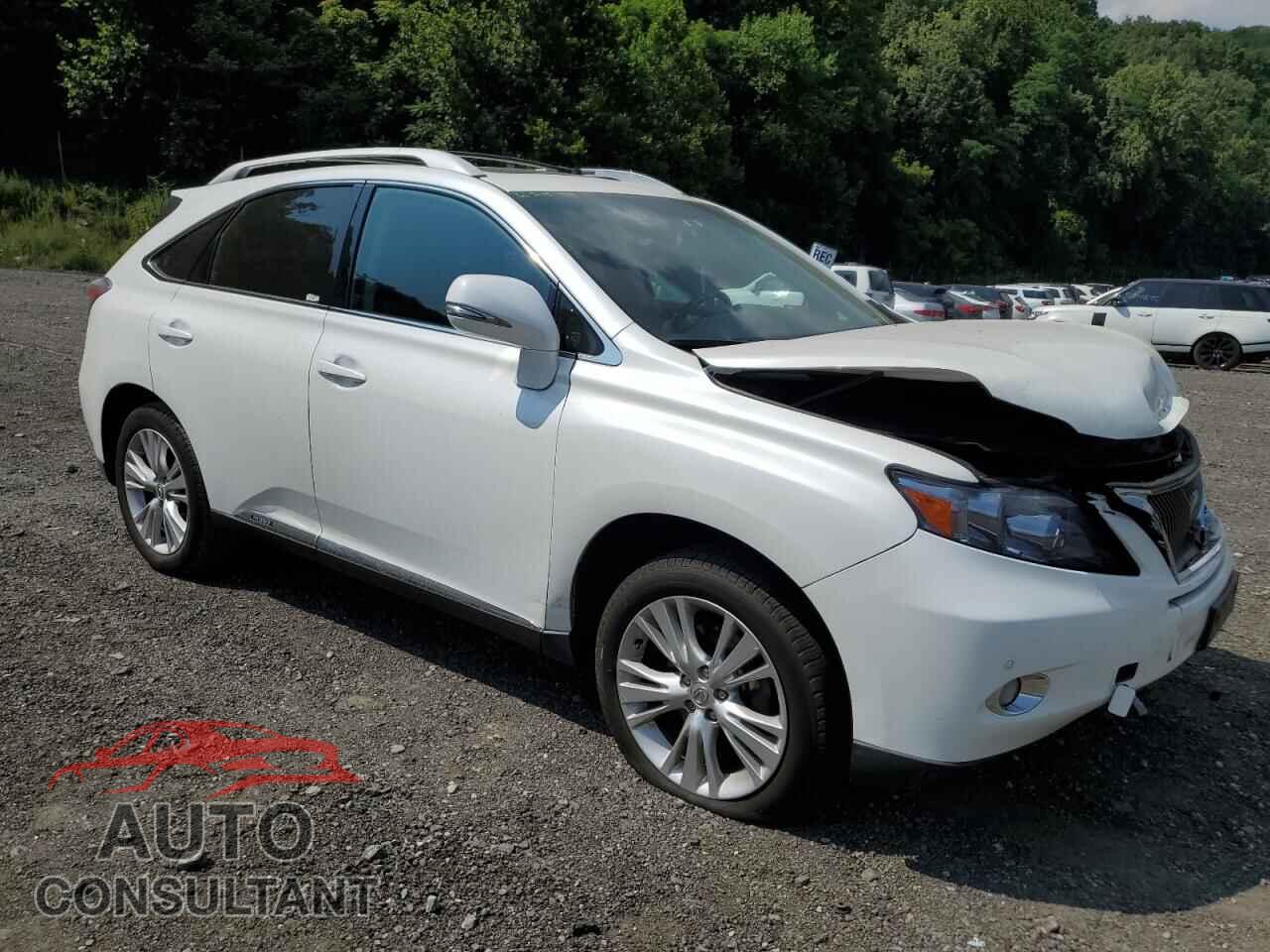 LEXUS RX450 2012 - JTJBC1BA0C2434145
