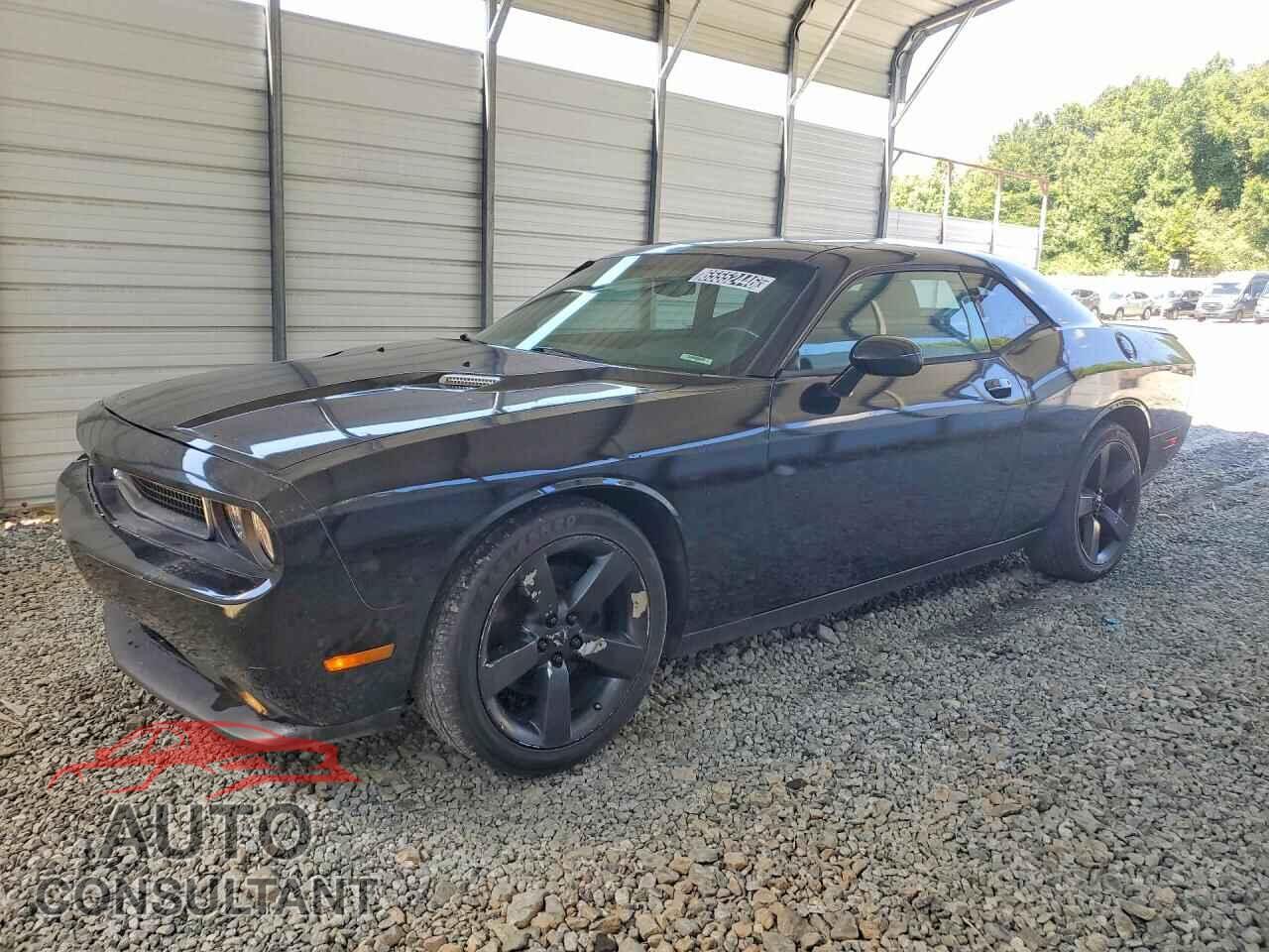 DODGE CHALLENGER 2013 - 2C3CDYAG4DH650807