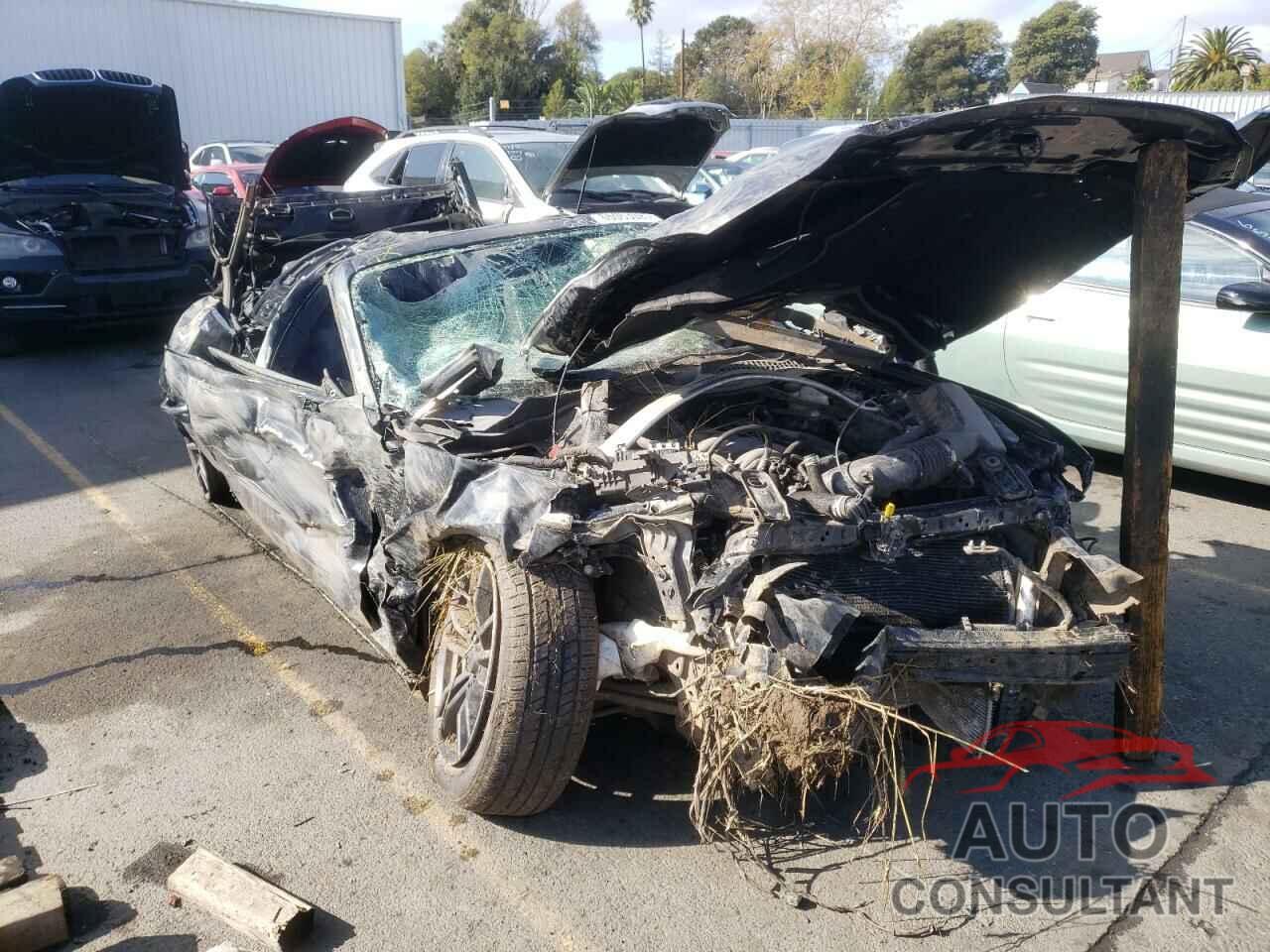 FORD MUSTANG 2016 - 1FATP8FF4G5216729