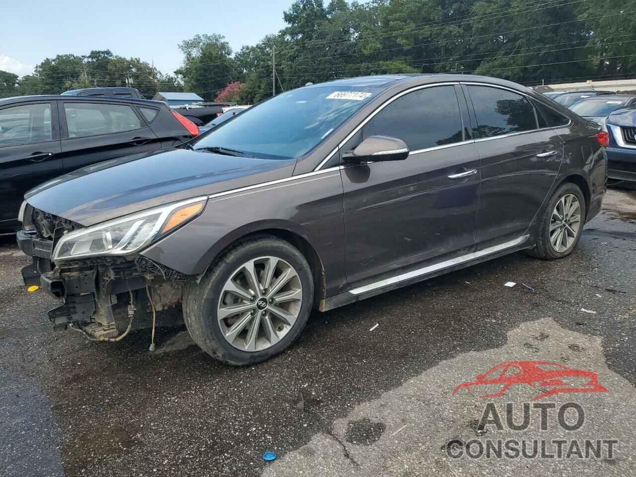 HYUNDAI SONATA 2016 - 5NPE34AF3GH316318