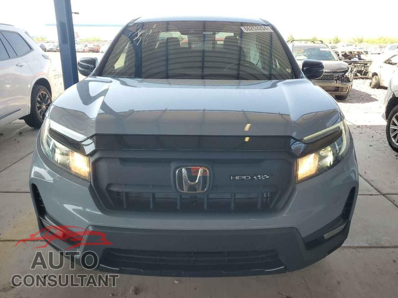 HONDA RIDGELINE 2024 - 5FPYK3F84RB006059