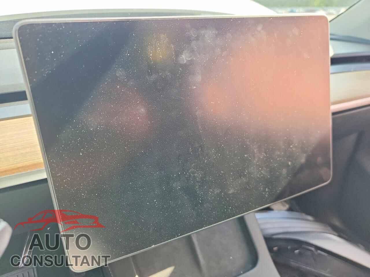 TESLA MODEL Y 2024 - 7SAYGDEE7RF031659