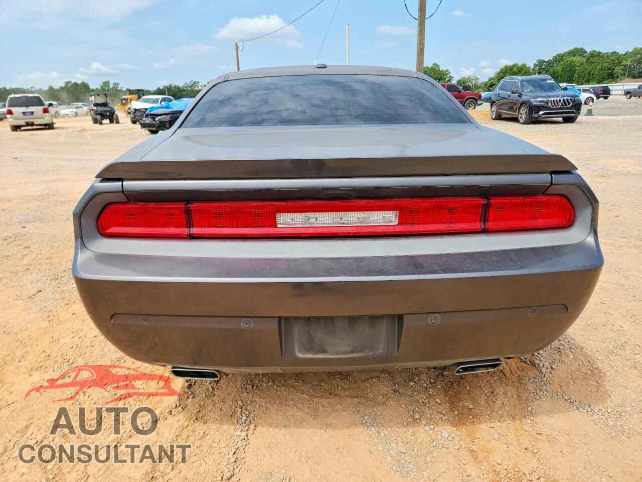 DODGE CHALLENGER 2014 - 2C3CDYAG0EH225490