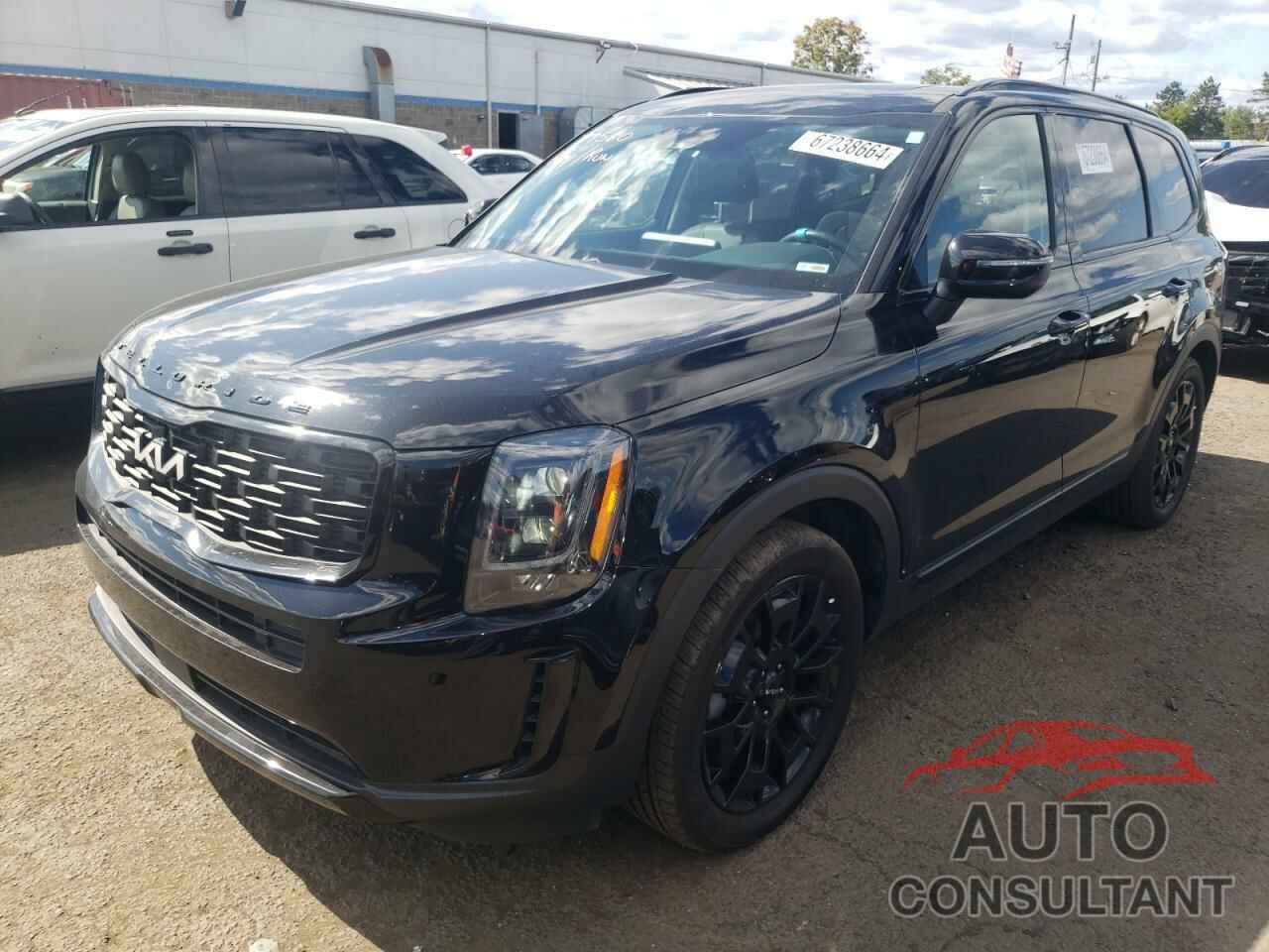 KIA TELLURIDE 2022 - 5XYP3DHCXNG295962