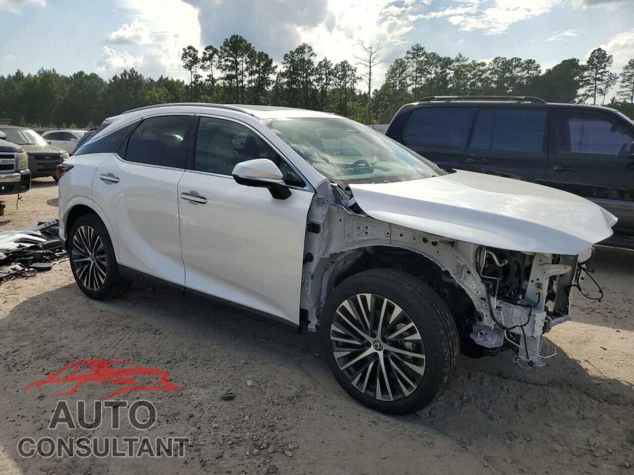 LEXUS RX 350H BA 2024 - 2T2BBMCA8RC042459