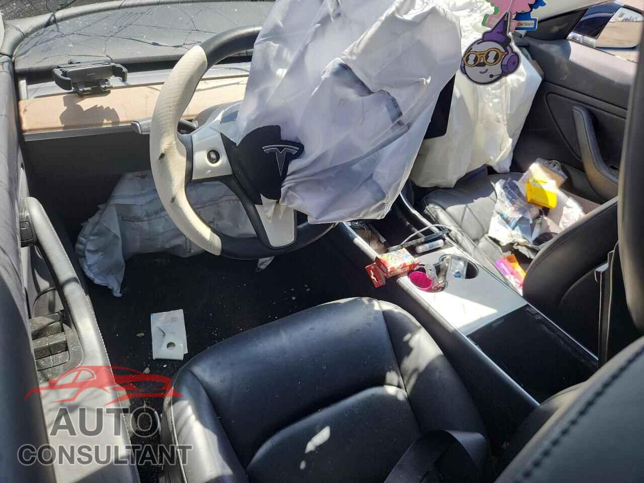 TESLA MODEL 3 2019 - 5YJ3E1EA1KF410073