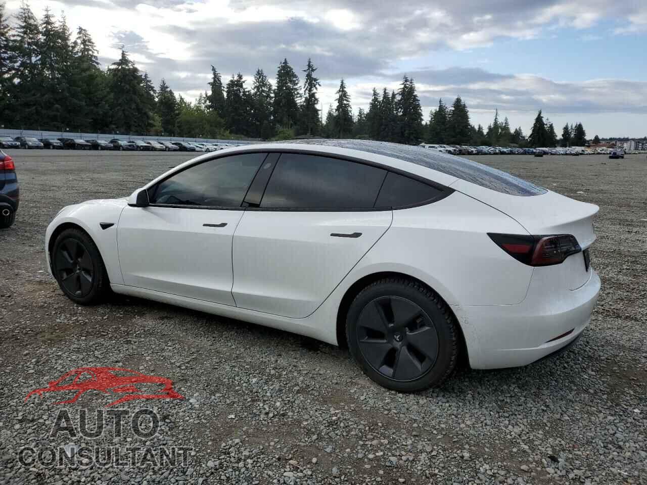 TESLA MODEL 3 2021 - 5YJ3E1EB7MF999027