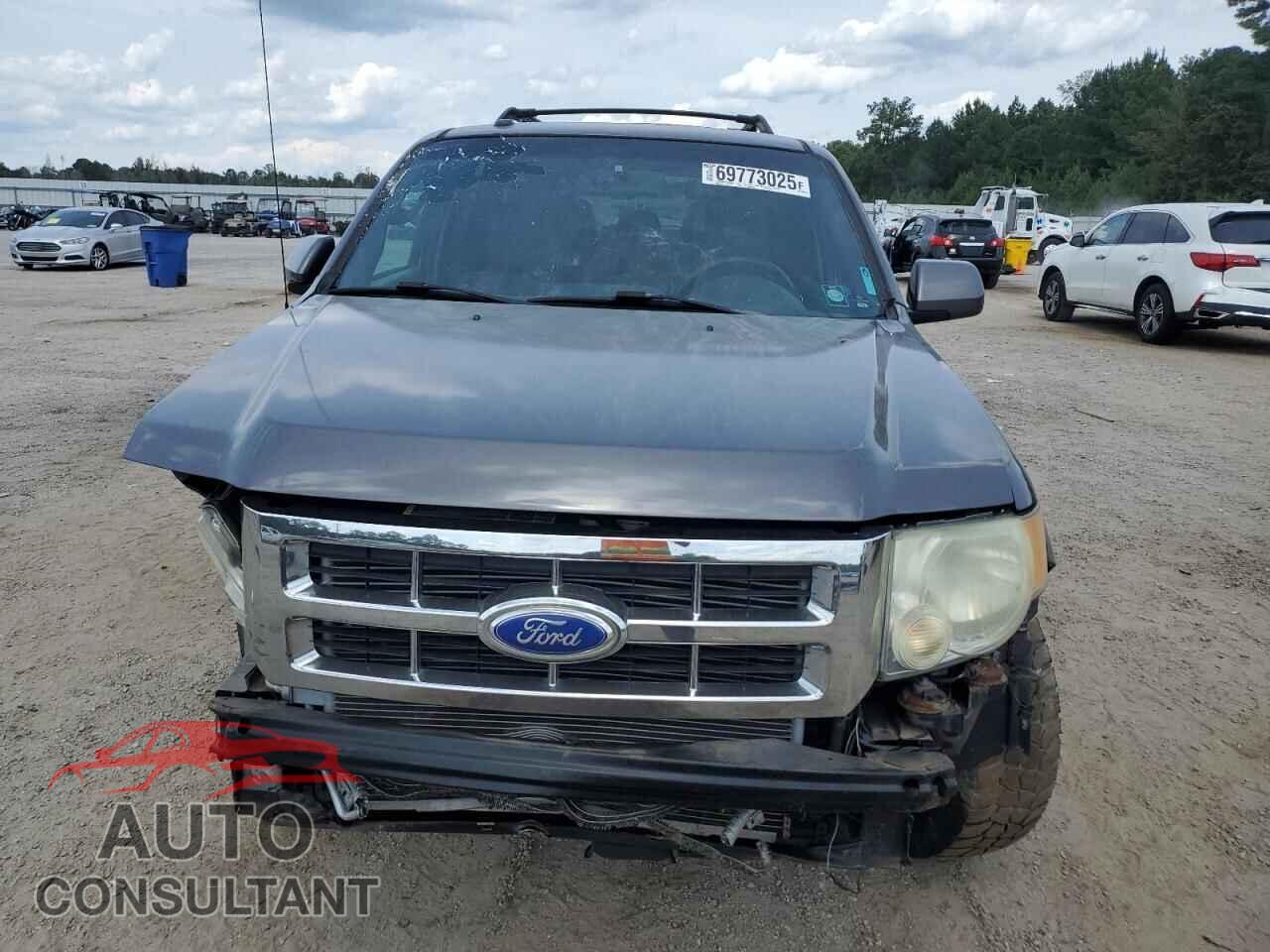 FORD ESCAPE 2010 - 1FMCU9EG1AKD01423