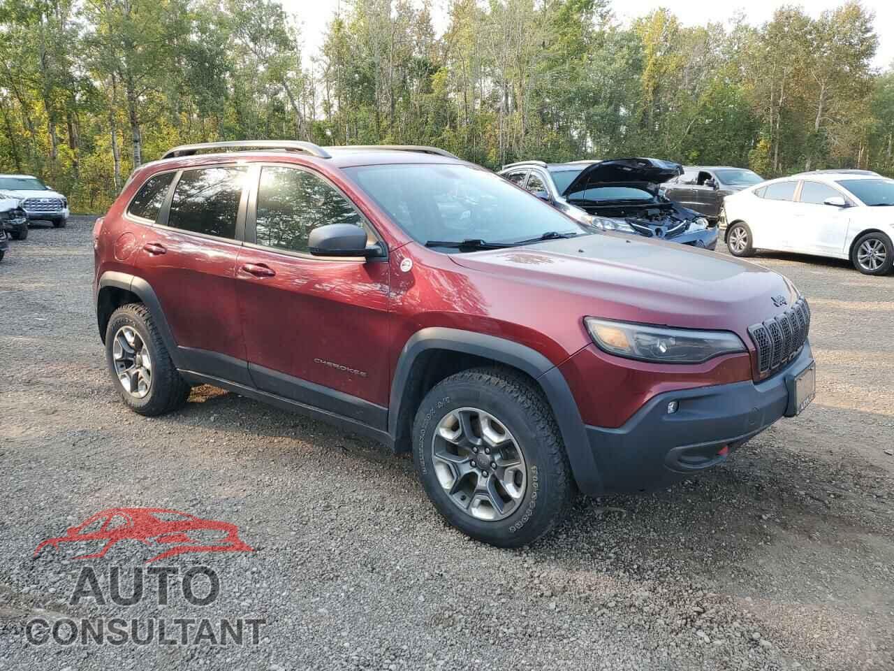 JEEP CHEROKEE 2019 - 1C4PJMBX9KD210167
