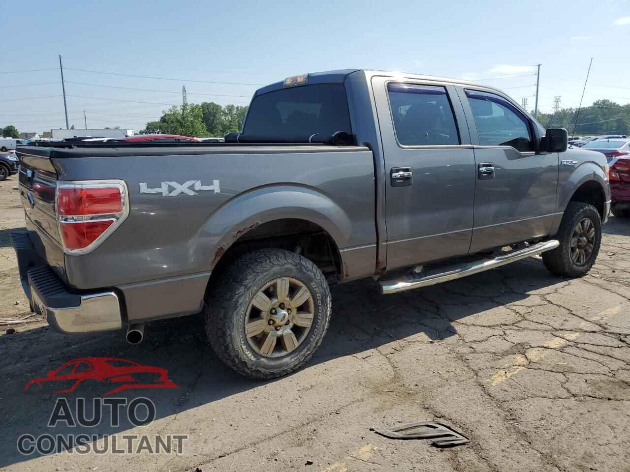 FORD F-150 2010 - 1FTEW1E80AFD02699