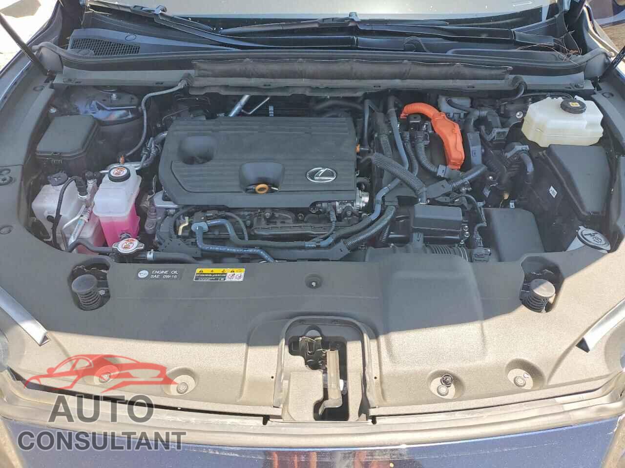 LEXUS UNKNOWN 2025 - 2T2BBMCA9SC092910