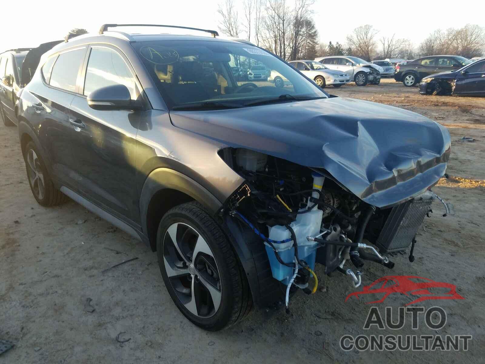 HYUNDAI TUCSON 2017 - KM8J33A25HU397766