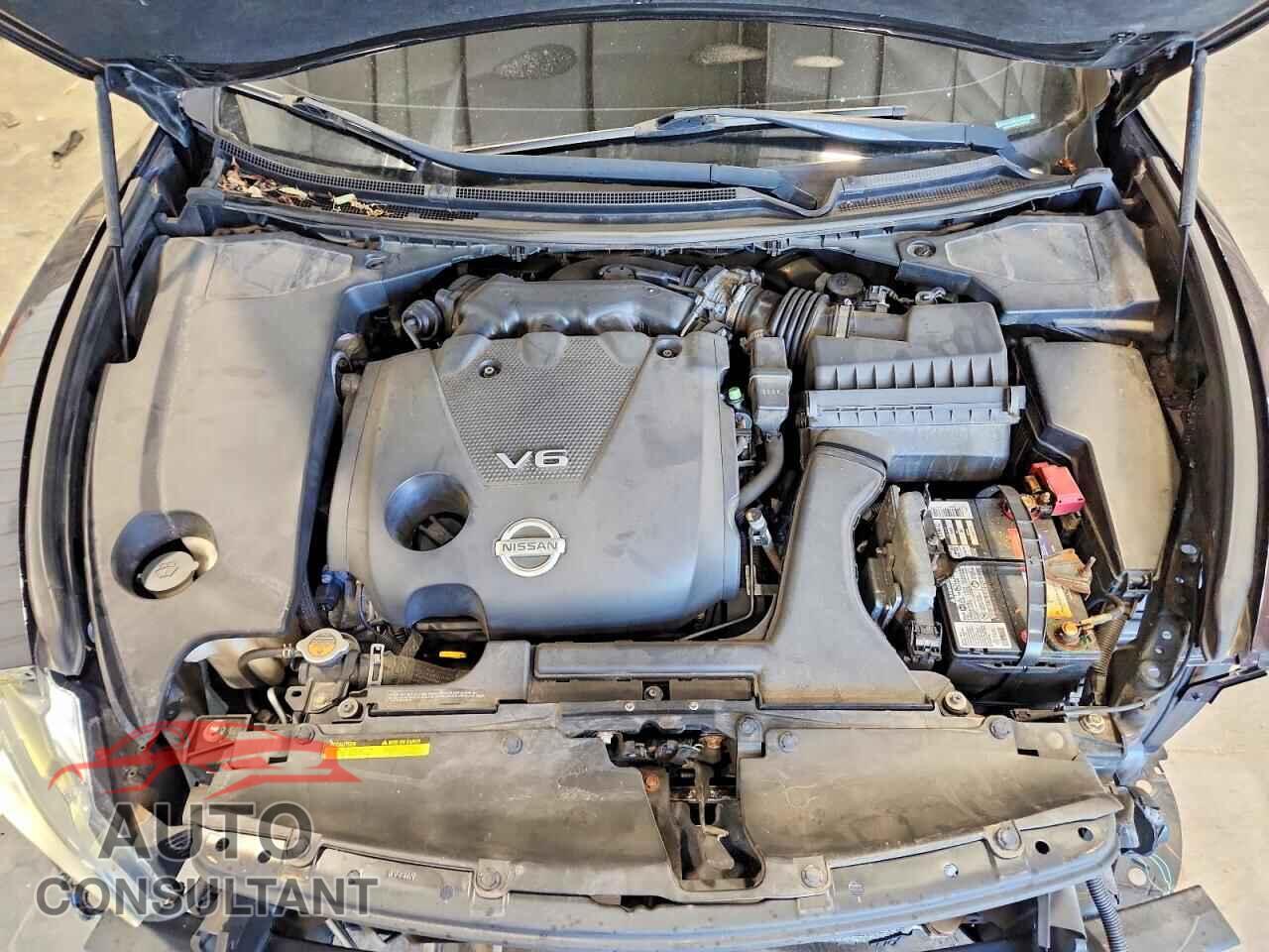 NISSAN MAXIMA 2011 - 1N4AA5AP0BC842029