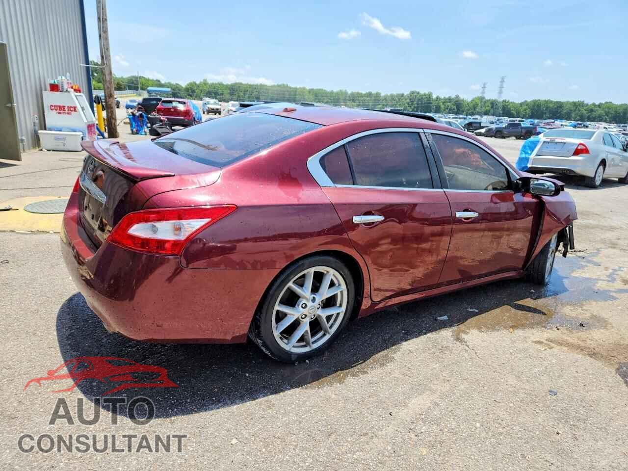 NISSAN MAXIMA 2009 - 1N4AA51E49C817935