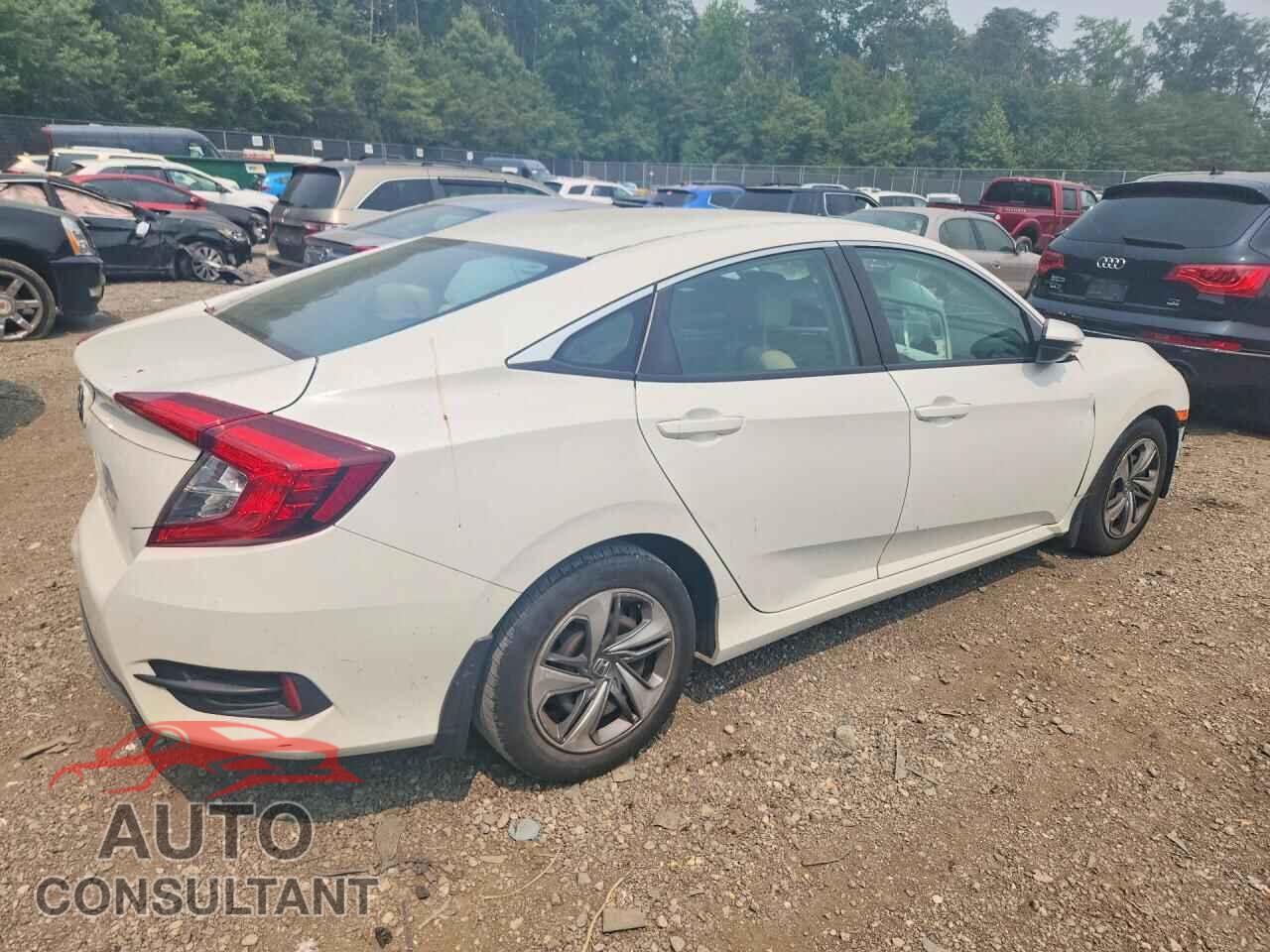 HONDA CIVIC 2019 - 2HGFC2F66KH557617