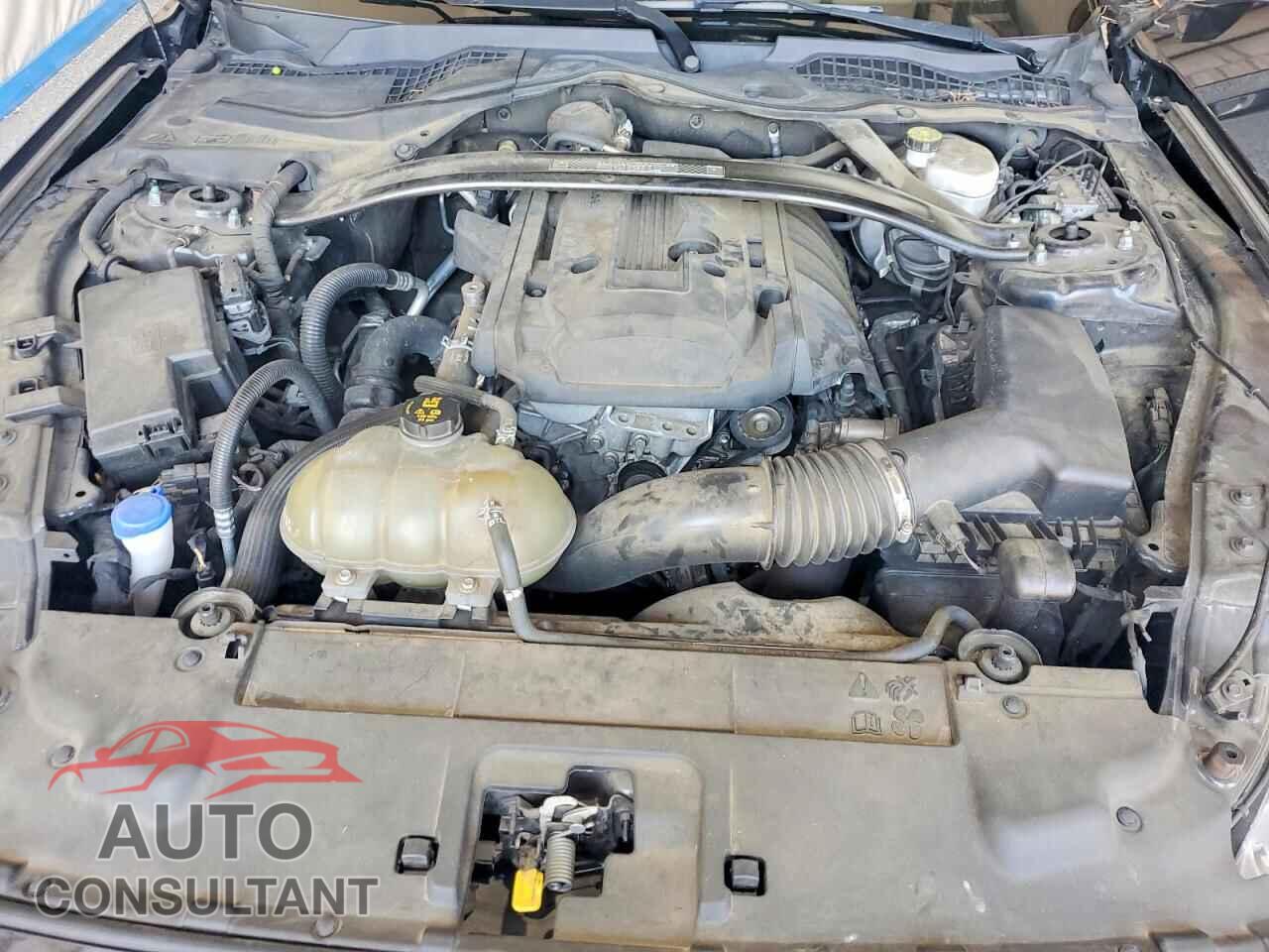 FORD MUSTANG 2020 - 1FA6P8TD3L5157571
