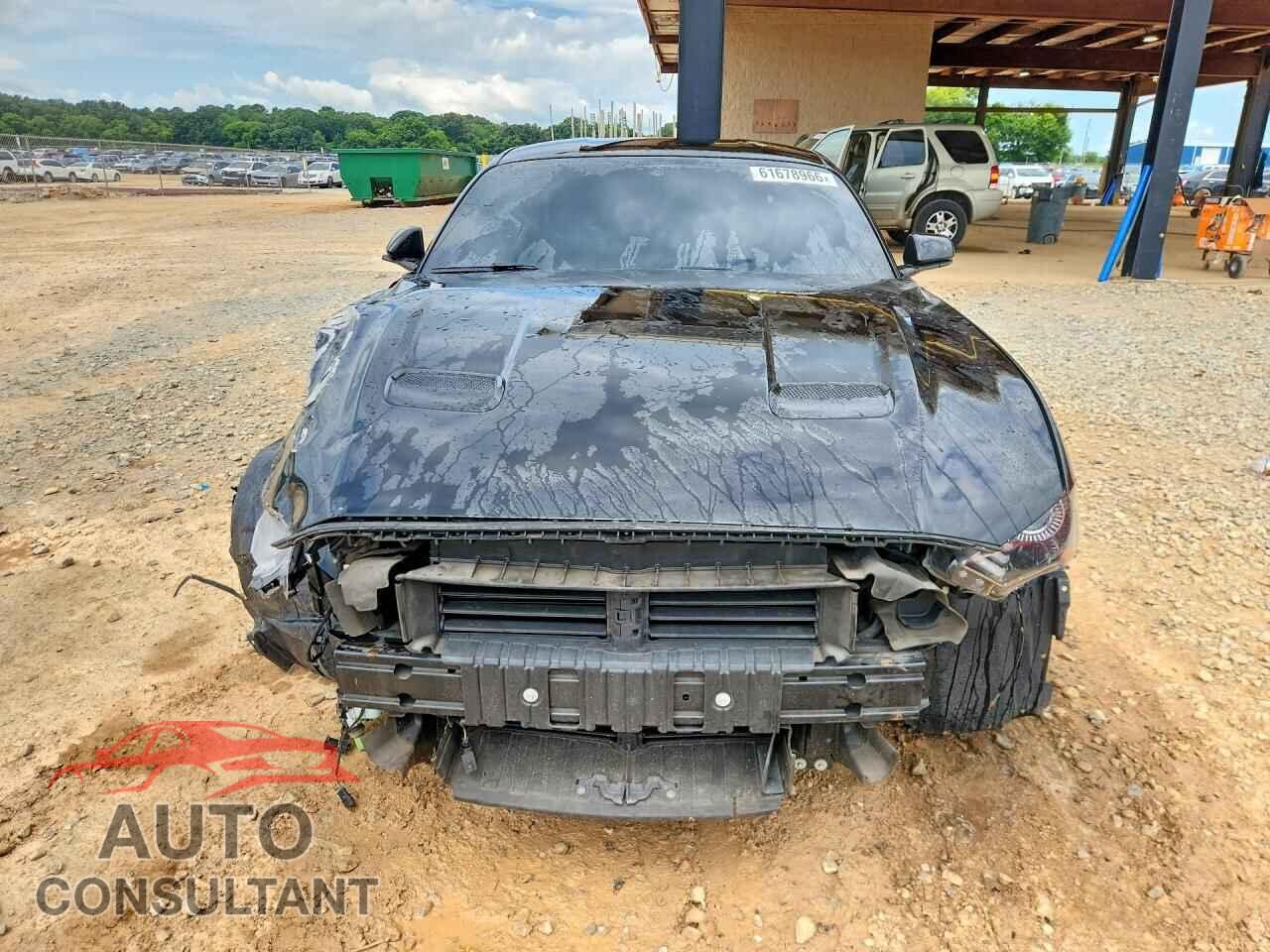 FORD MUSTANG 2019 - 1FA6P8TH0K5116929