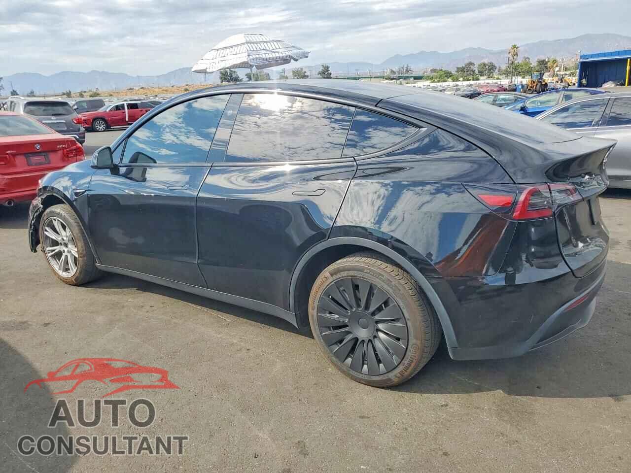 TESLA MODEL Y 2024 - 7SAYGDEE3RF060964