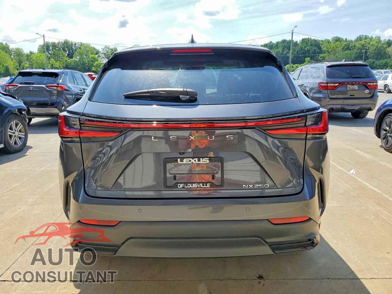 LEXUS UNKNOWN 2024 - 2T2GDCAZ6RC013481