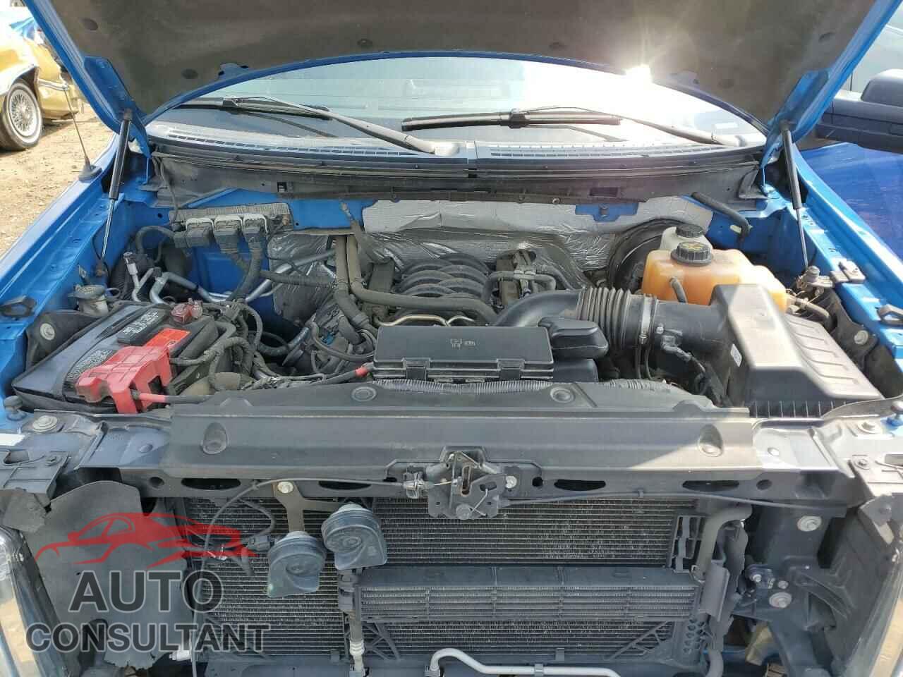 FORD F-150 2013 - 1FTFX1CF3DFE01671