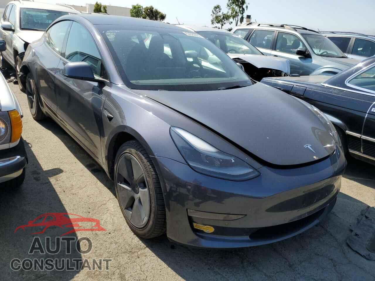 TESLA MODEL 3 2022 - 5YJ3E1EB5NF181376