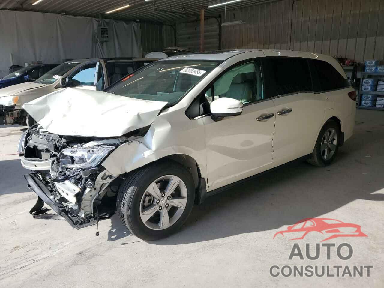 HONDA All Models 2019 - 5FNRL6H76KB016405