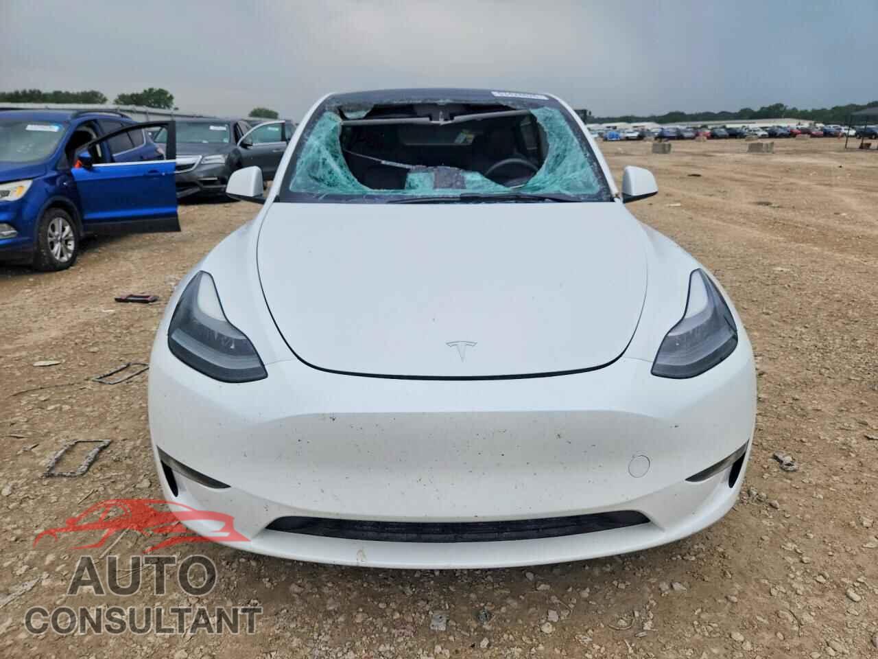 TESLA MODEL Y 2023 - 7SAYGDEE6PF684657