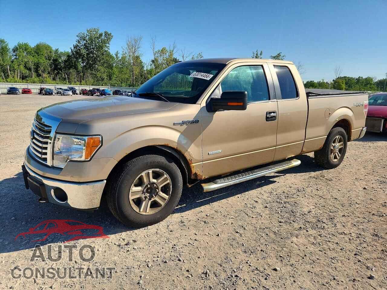 FORD F150 2012 - 1FTFX1ET9CFB52424