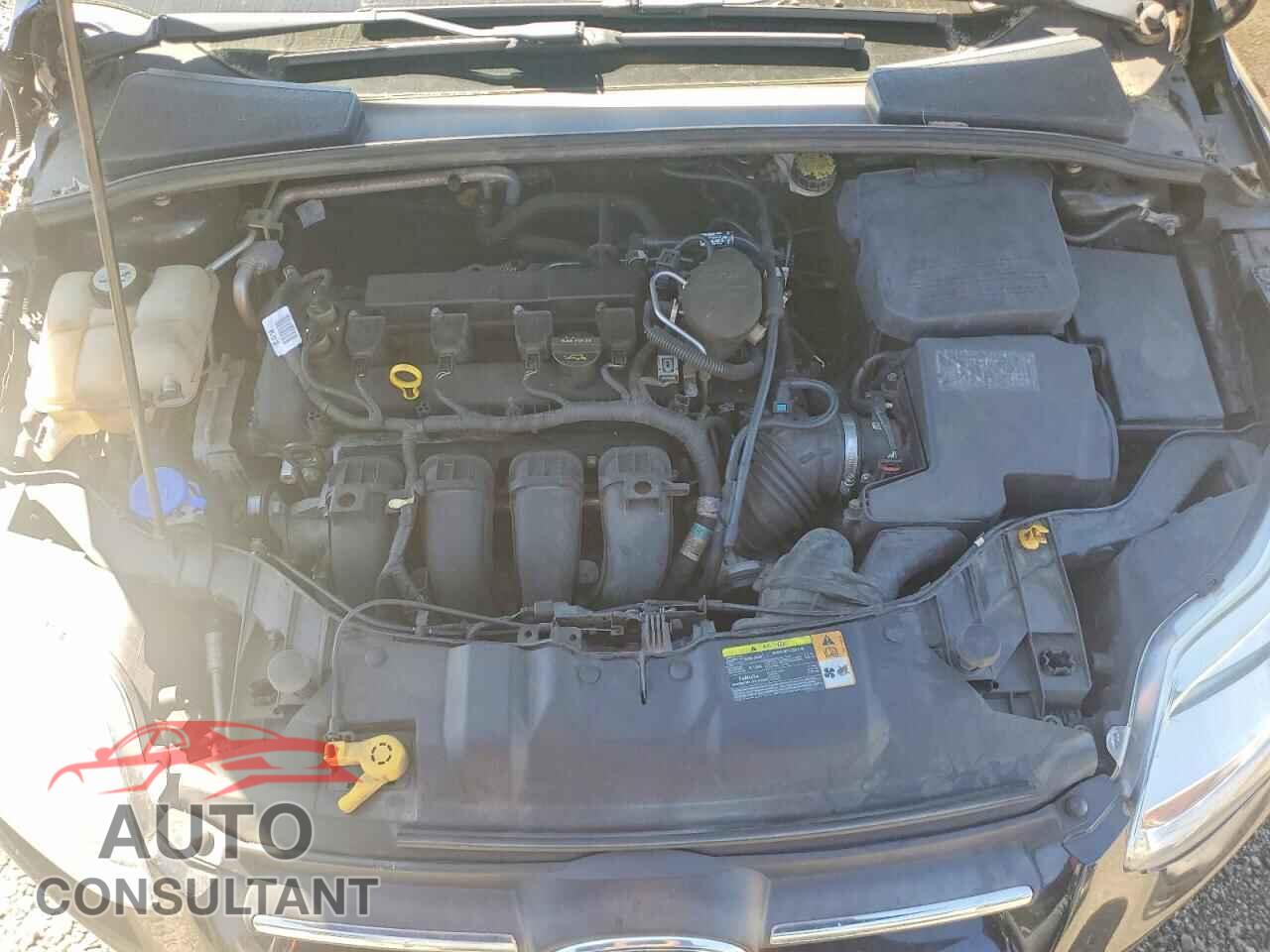 FORD FOCUS 2012 - 1FAHP3F29CL387617