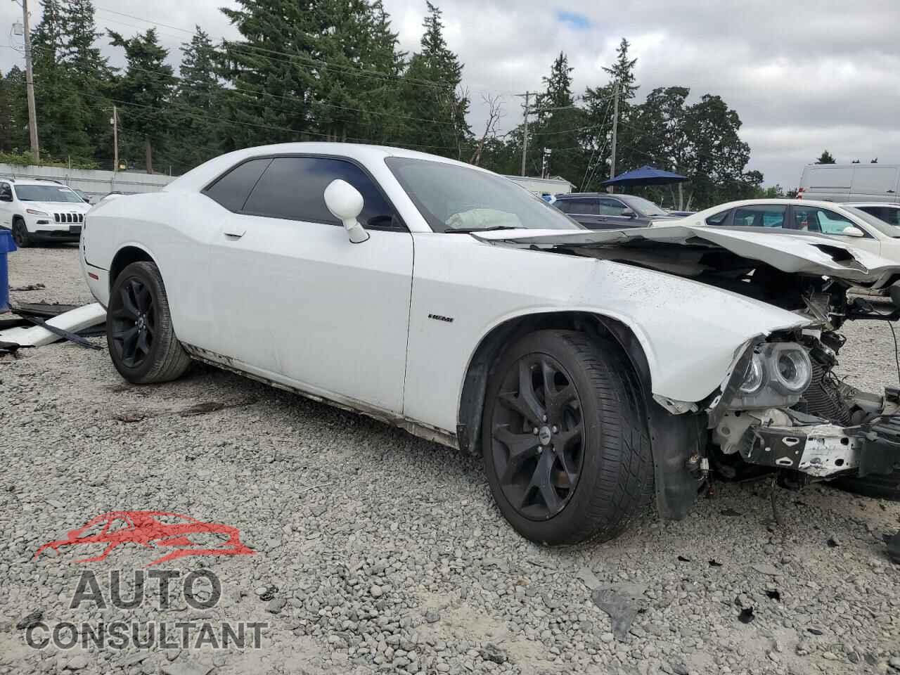 DODGE CHALLENGER 2019 - 2C3CDZBT3KH556965
