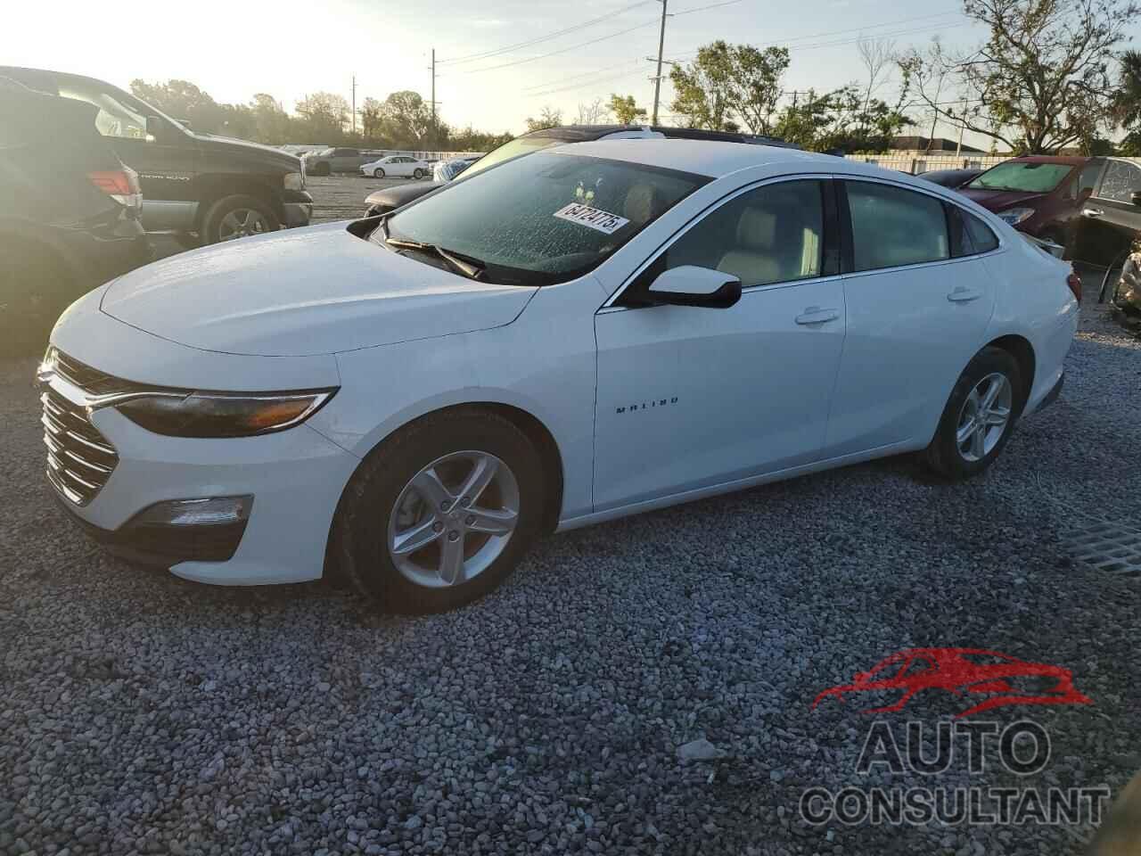 CHEVROLET MALIBU 2024 - 1G1ZC5ST9RF195604